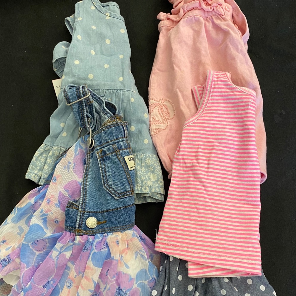 ****BUNDLE*** baby girl clothing 6-9 months